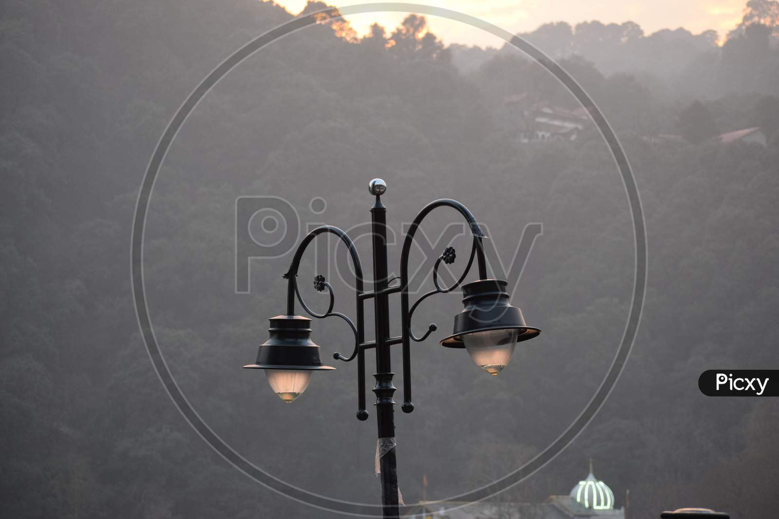 Beautiful Picture Of Road Side Lamp In India. Background Blur