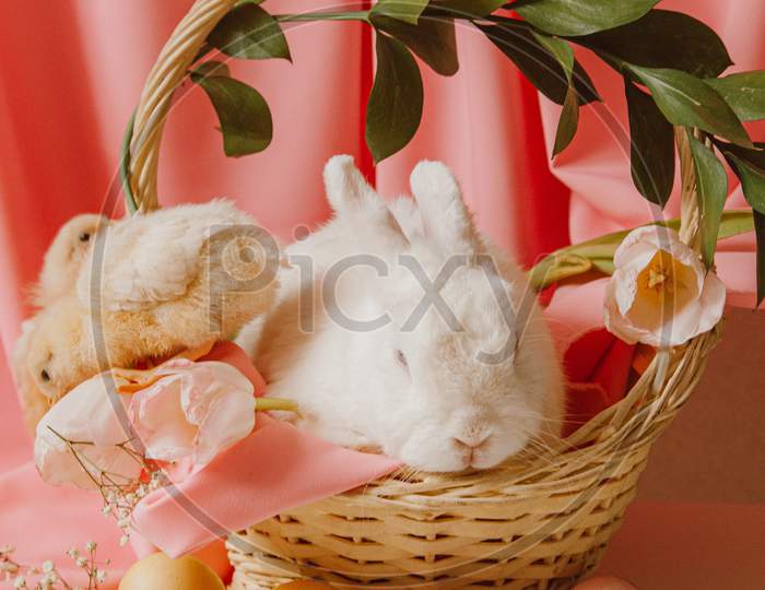 EASTER CELEBRATIONS HD WALLPAPERS