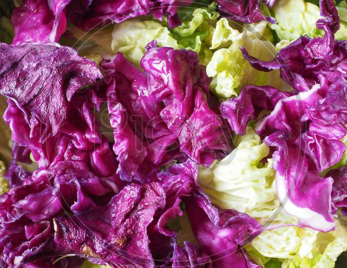 Cabbage Vegetables Food