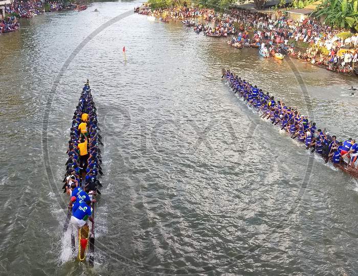Oarsmen in a vepu boat teams row vigorously in the Kottayam Boat races