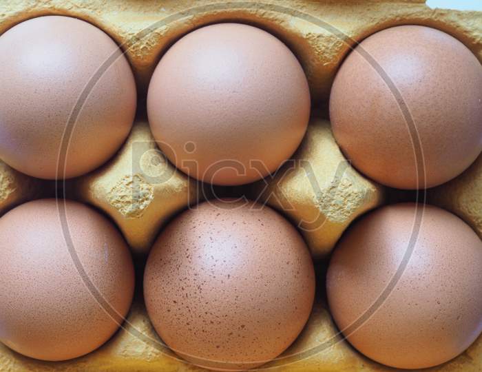 Eggs In Carton