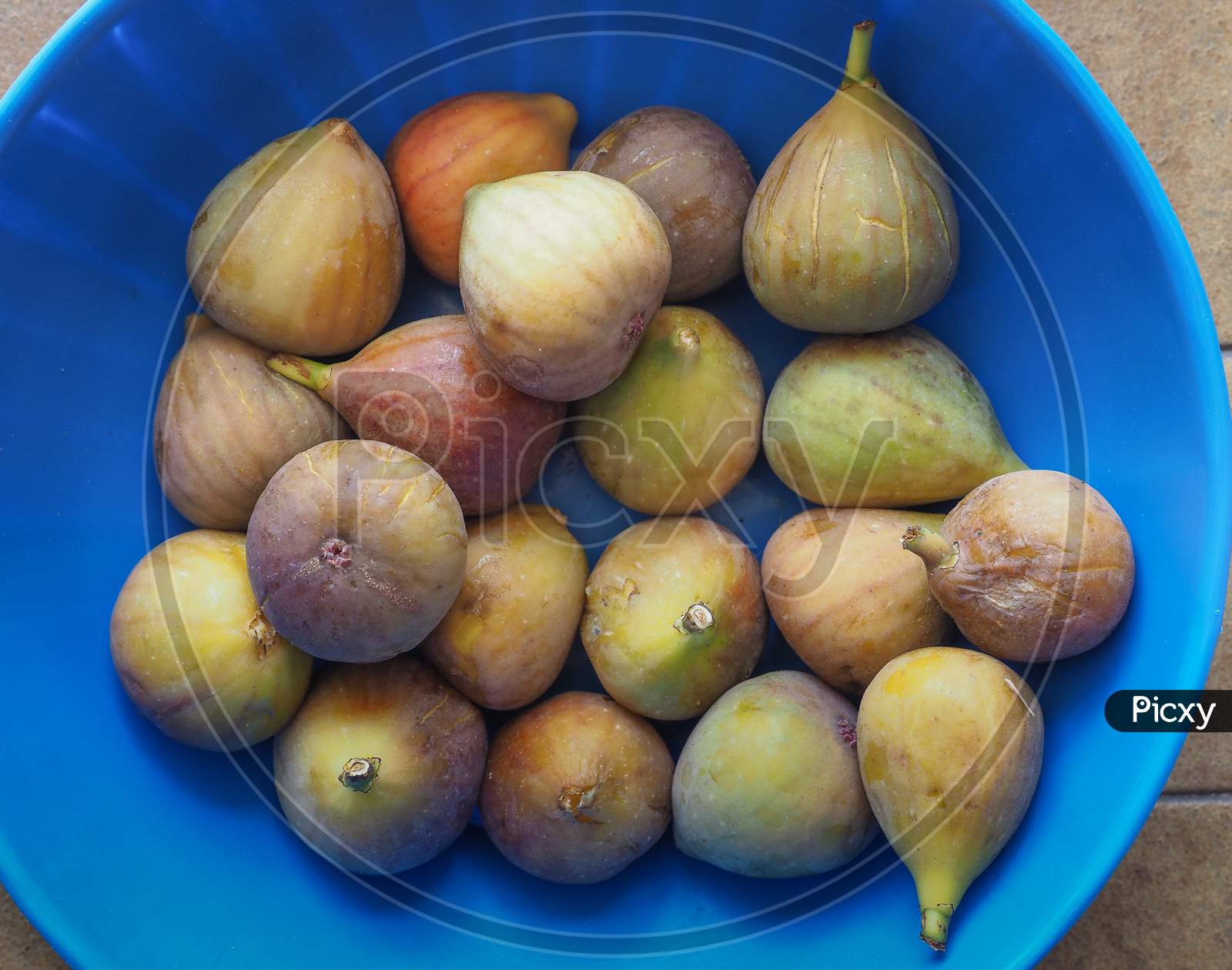 Fig Fruit Food