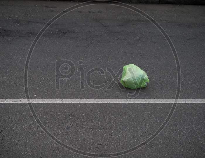 Plastic Bag In The Road