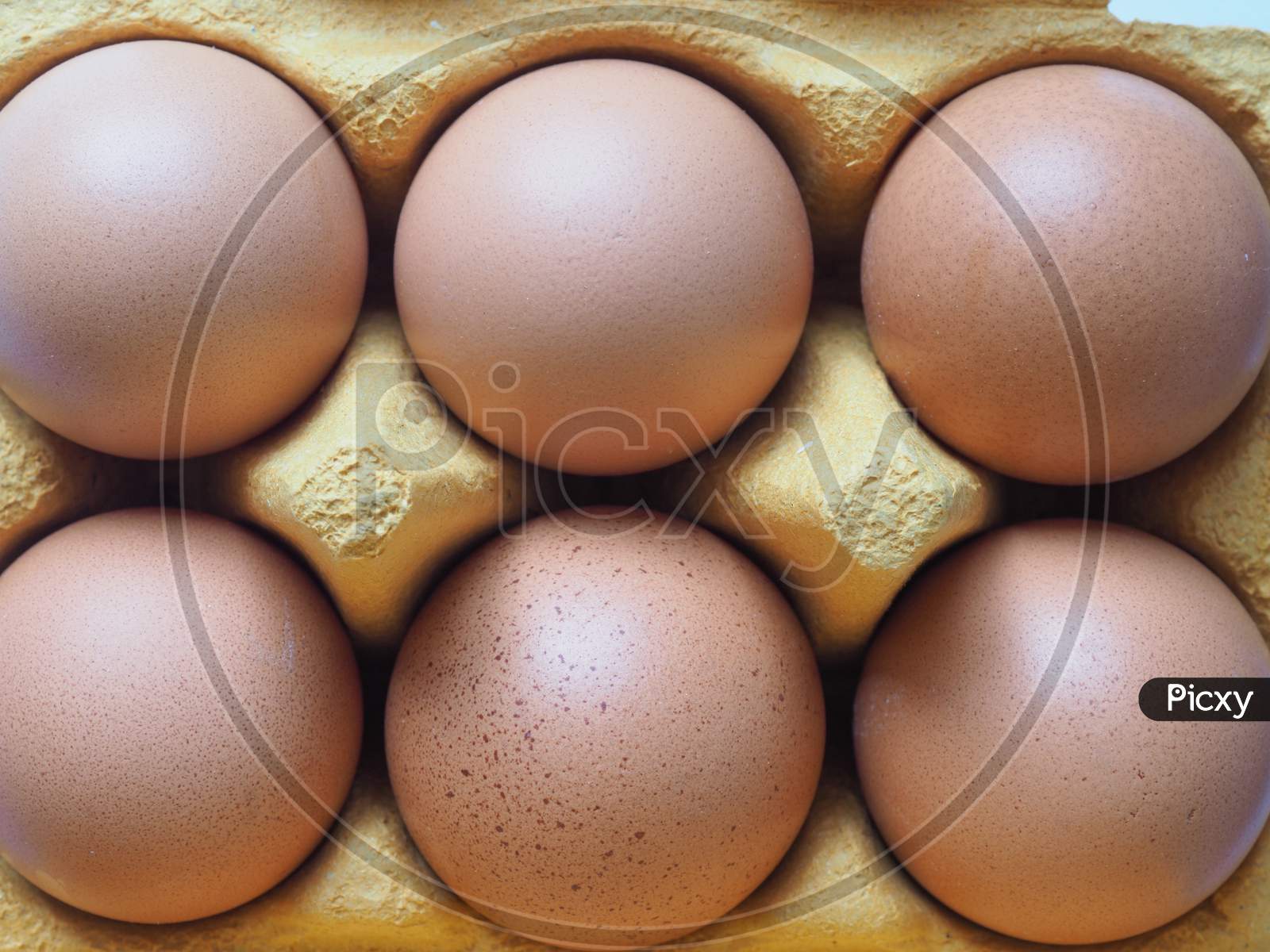 Eggs In Carton