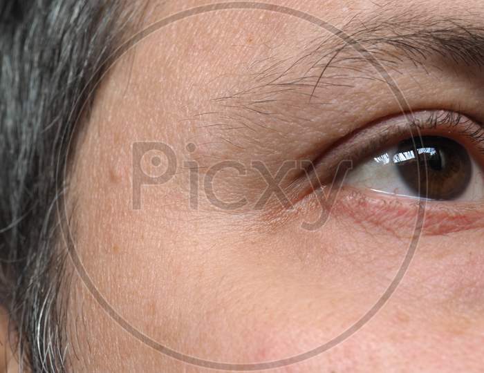 Detail Of Human Eye