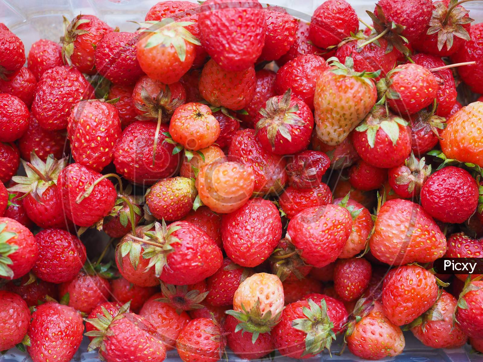 Strawberry Fruits Detail