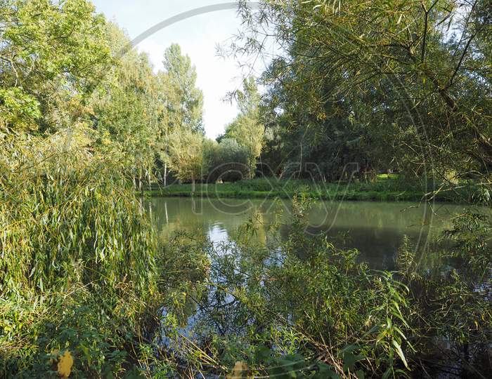 River Cam In Cambridge