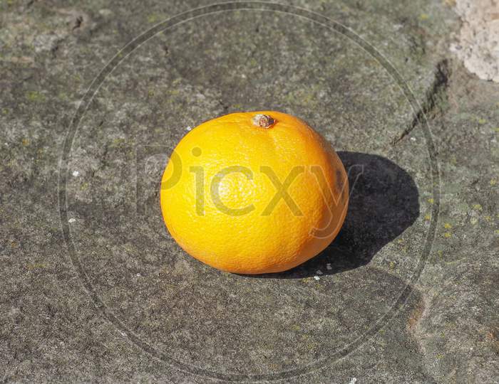 Orange Mandarin Fruit