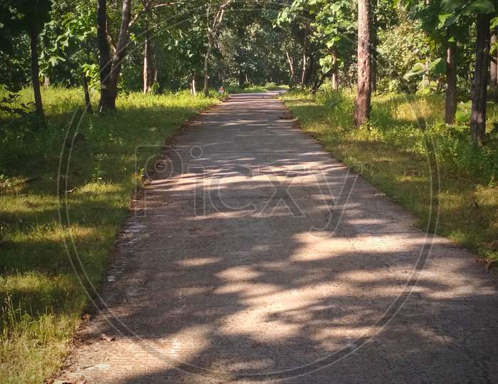 Alone path