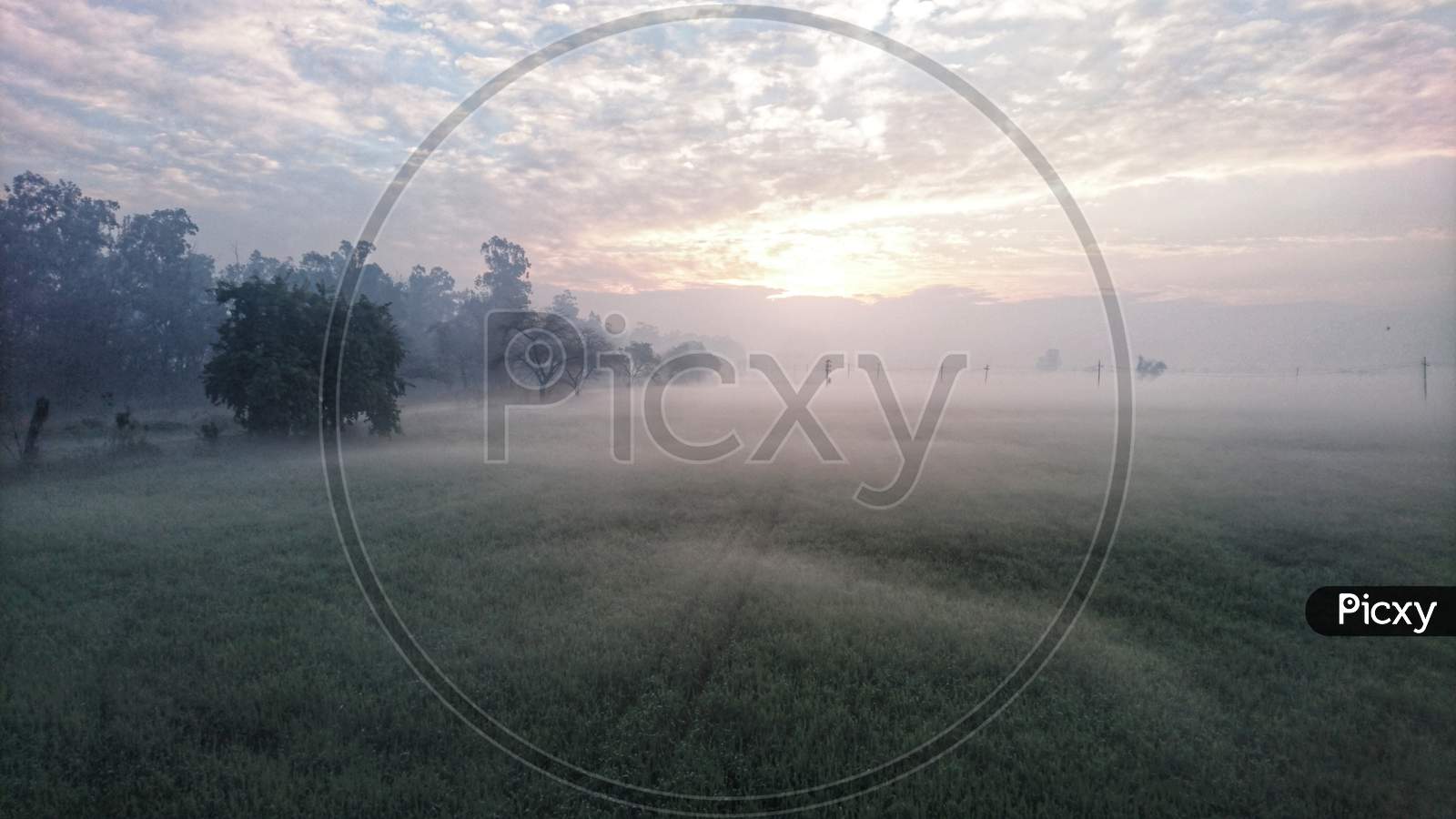 Fog on fields