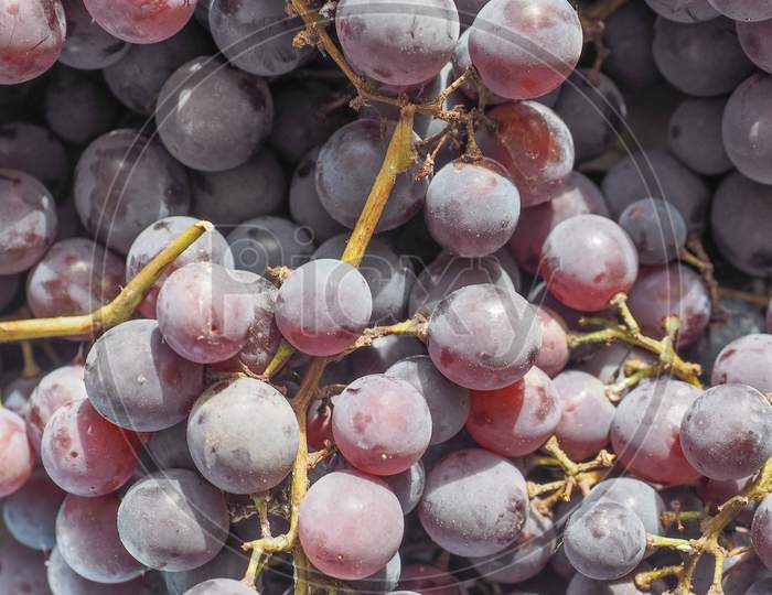 Red Grape Fruits