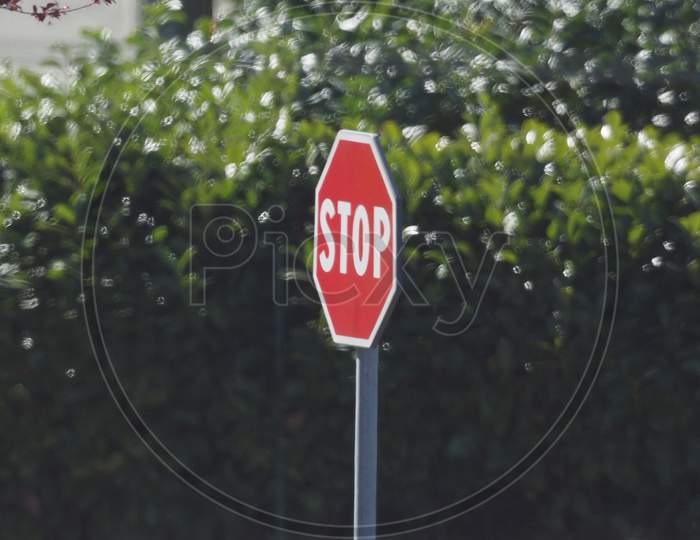 Stop Sign Over Leaves
