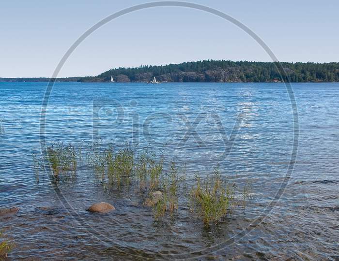 Lake In Stockholm