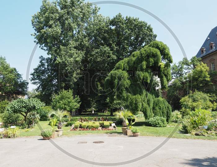 Botanical Gardens In Turin