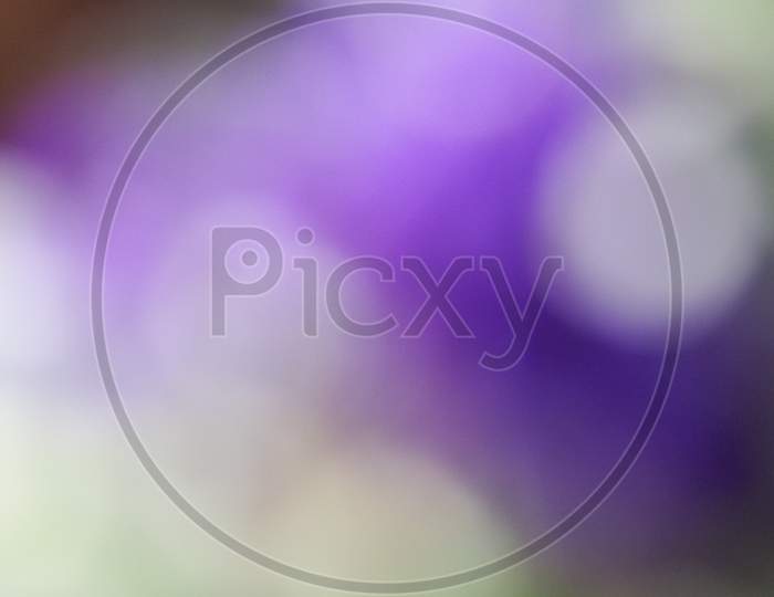 Abstract Purple Blur