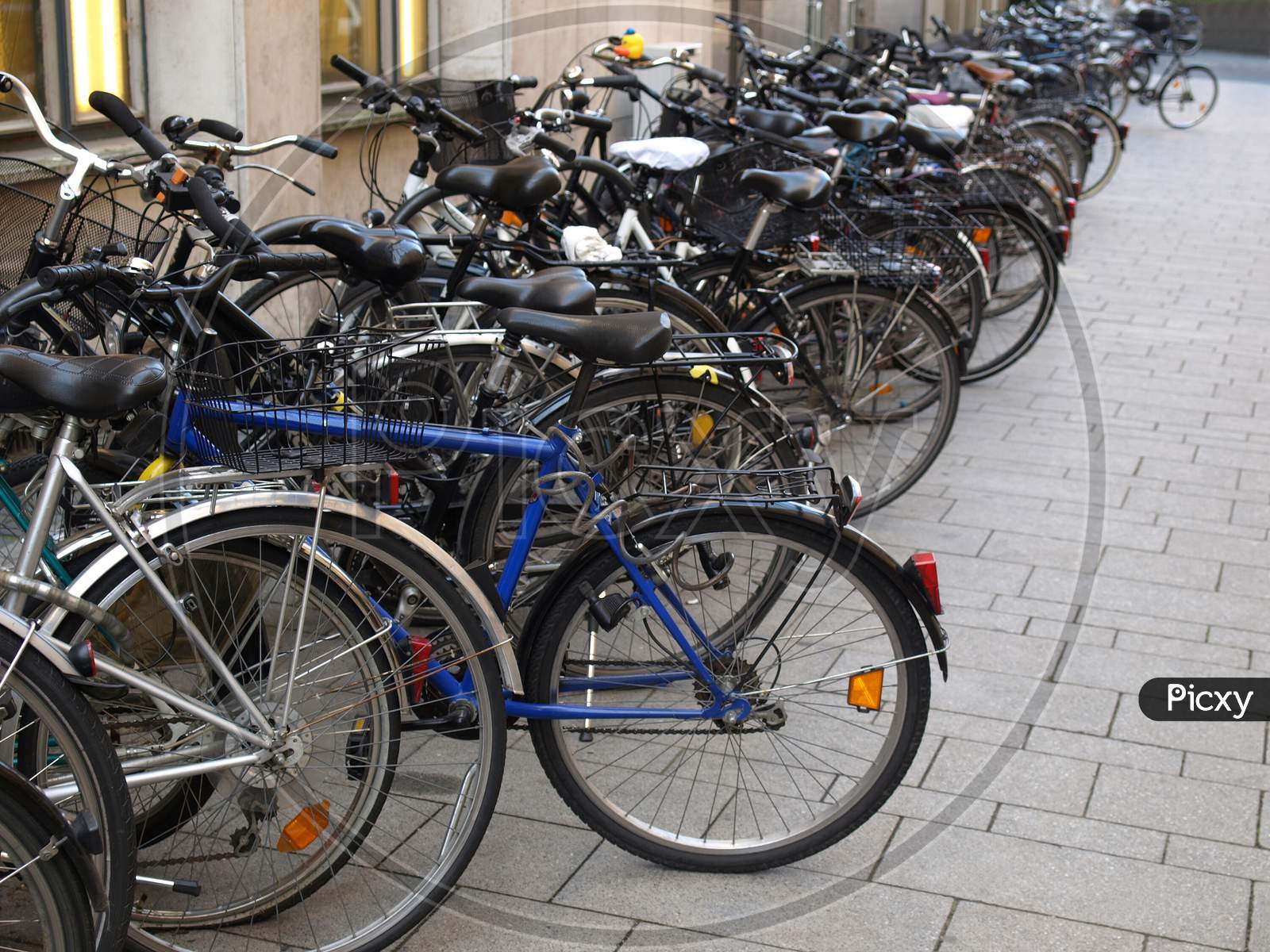 Row Of Parked Bikes
