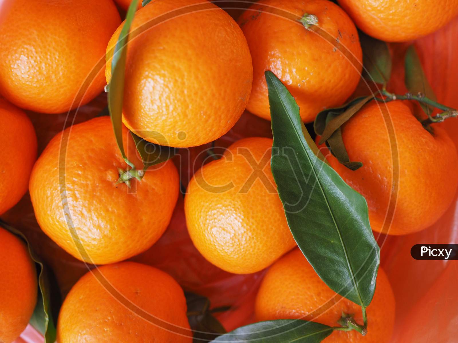 Tangerine Fruit Food
