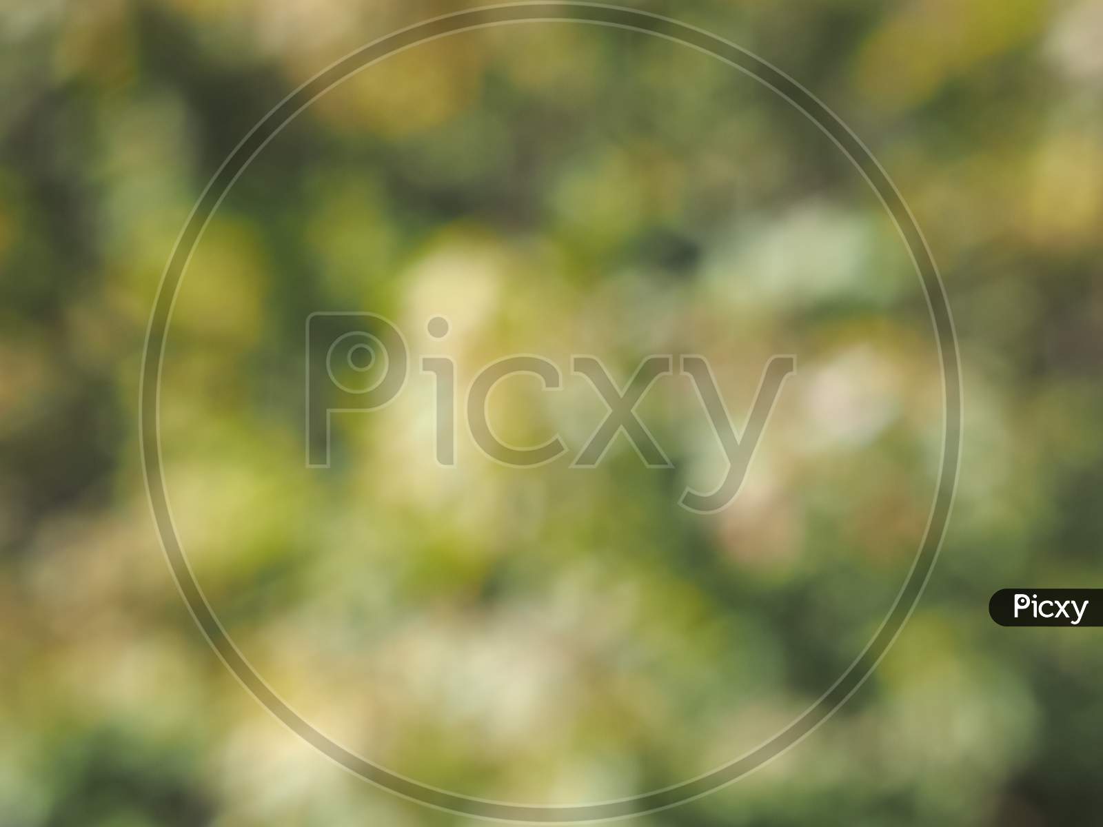 Abstract Green Blur Background