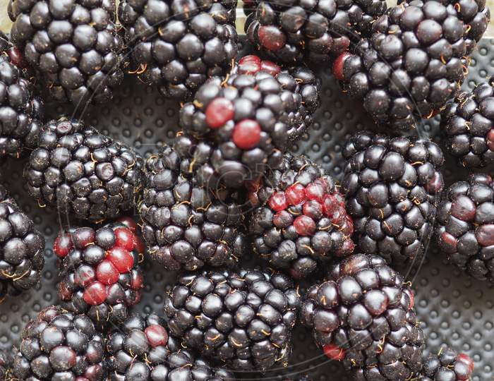 Blackberry Fruit Food