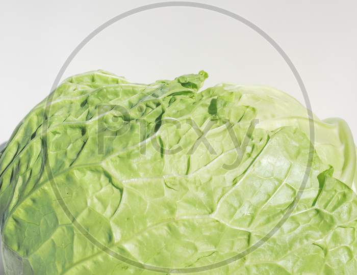 Green Cabbage Vegetables