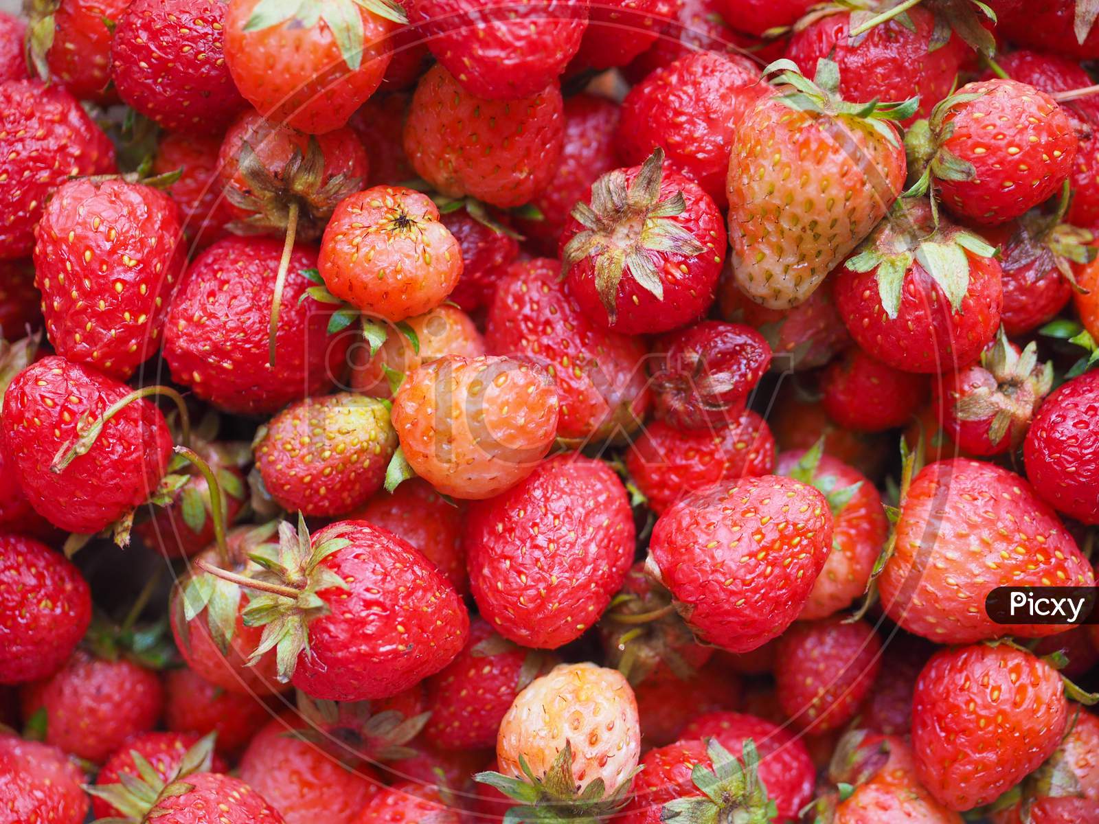 Strawberry Fruits Detail