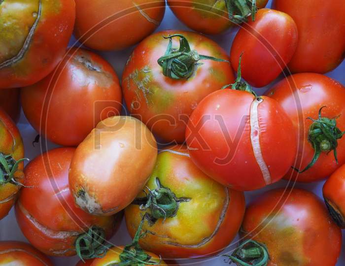 Tomato Vegetables Food