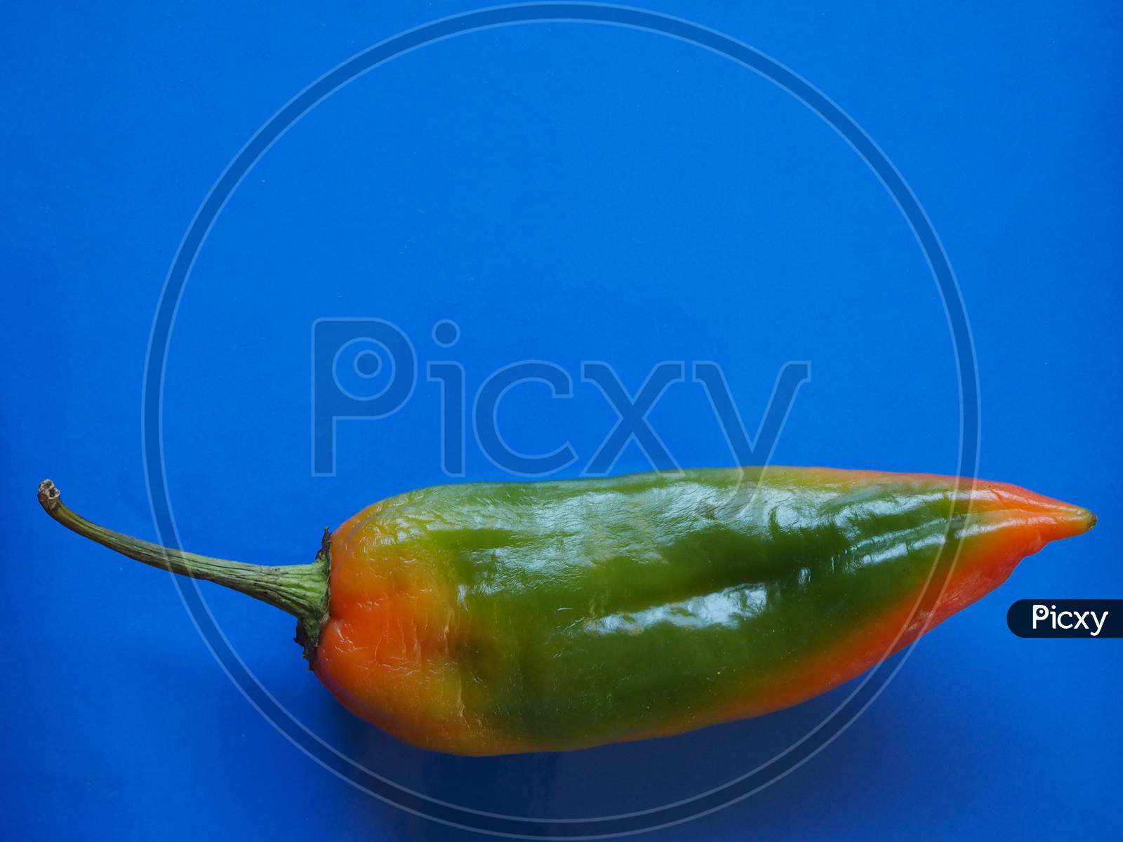 Peppers Vegetable Over Blue With Copy Space