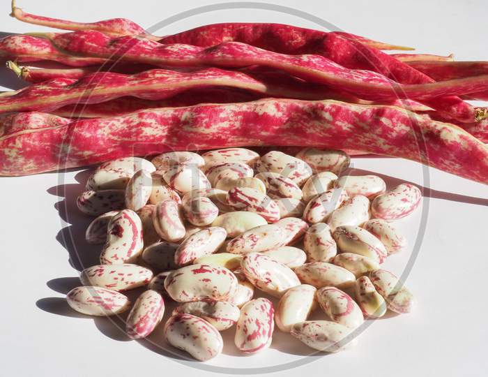 Crimson Beans Legumes Vegetables Food