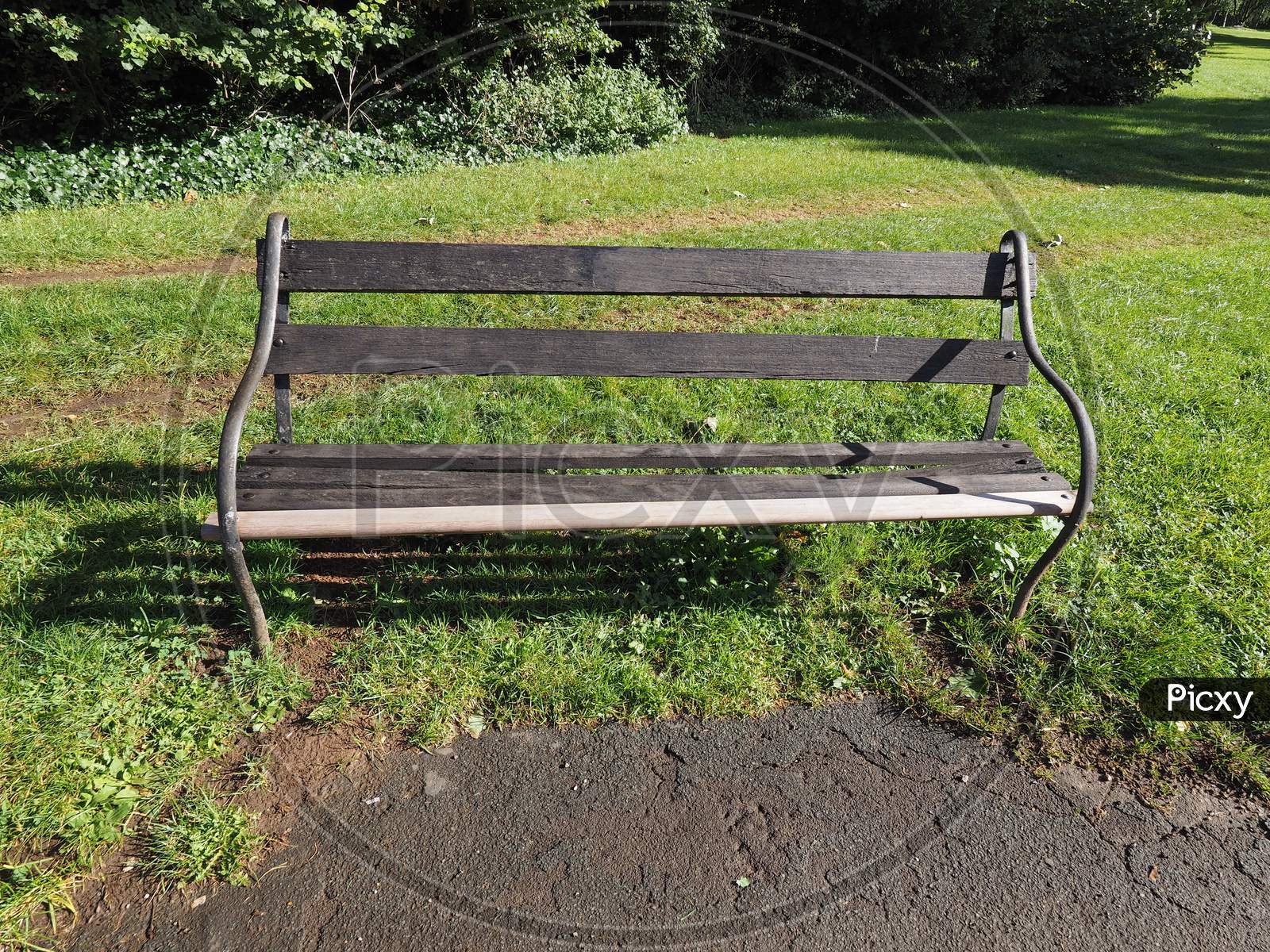 Bench In Park