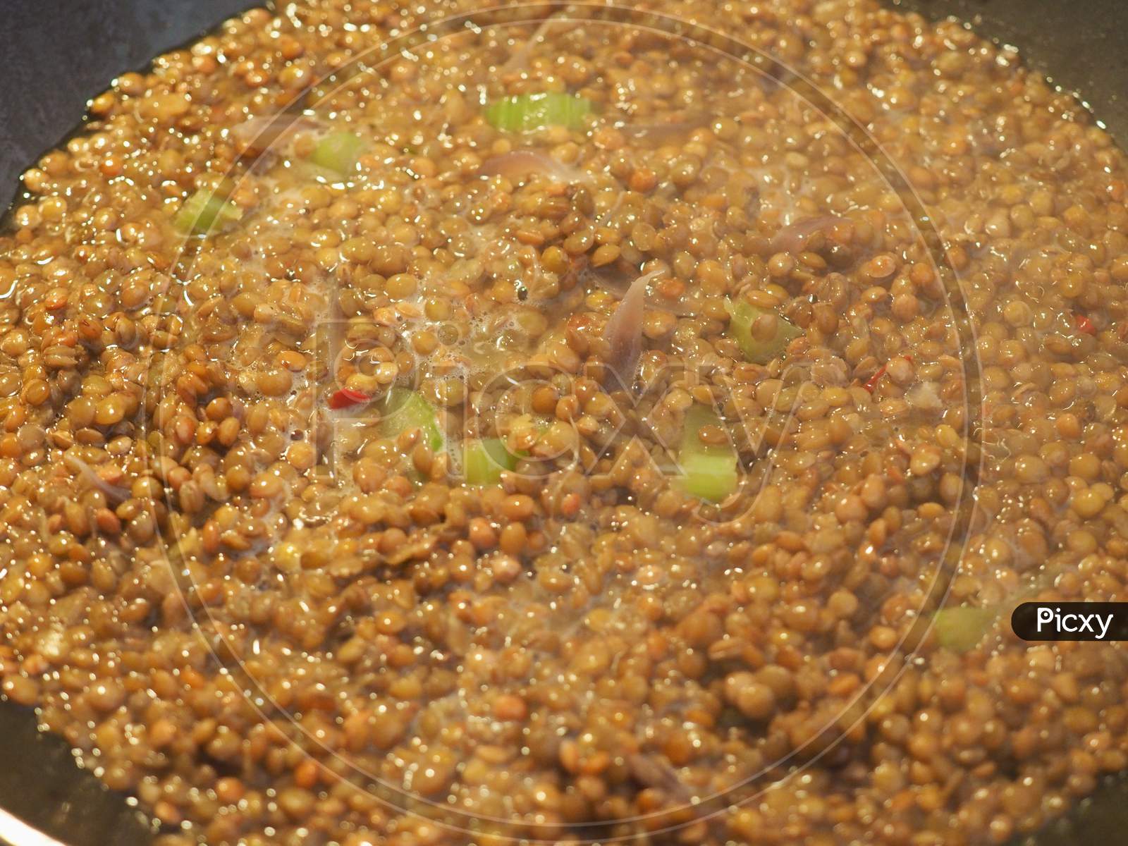 Lentils Pulse Grain Legume (Lens Culinaris) Legumes Vegetables Food