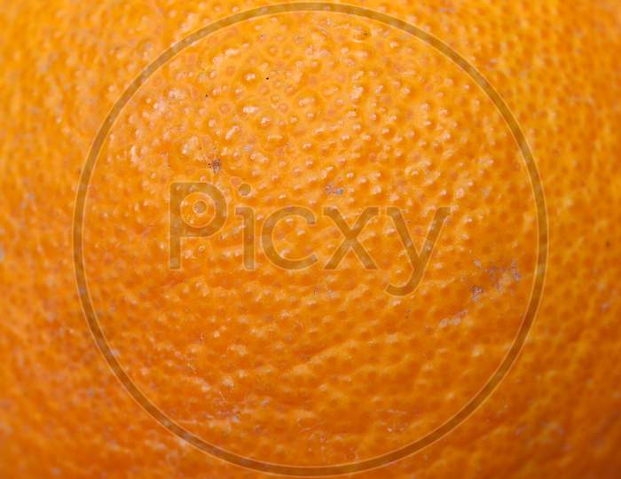 Orange Fruit (Citrus)