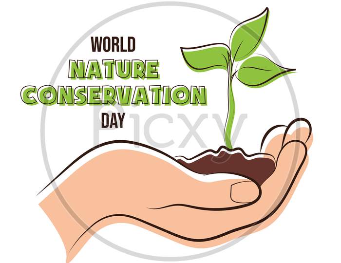 World Nature Conservation Day, Plant In Hand Poster, Illustration Vector
