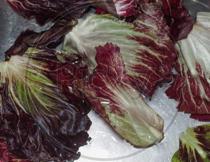 Lettuce Vegetables Food