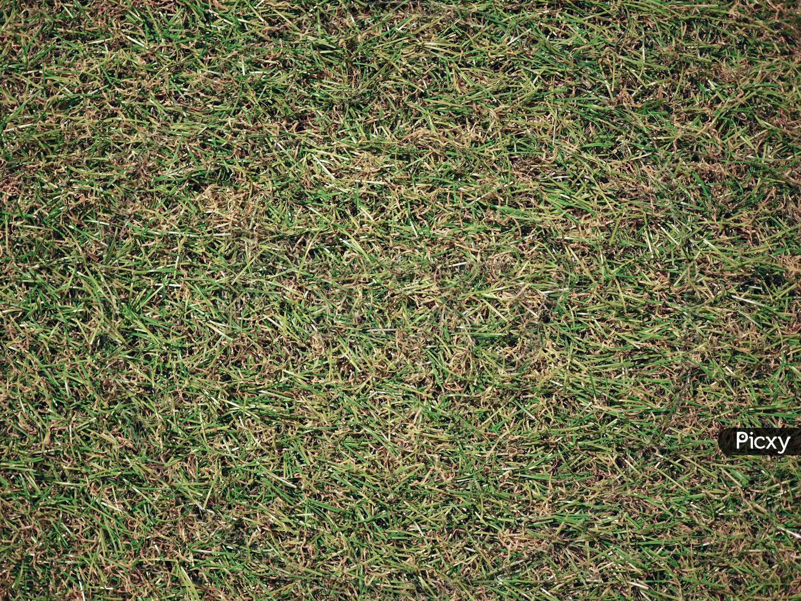 Green Plastic Artificial Grass Texture Background