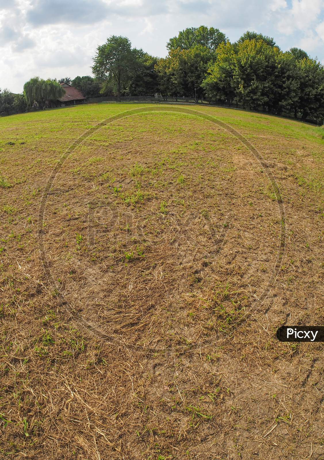Grass Meadow With Fisheye Lens