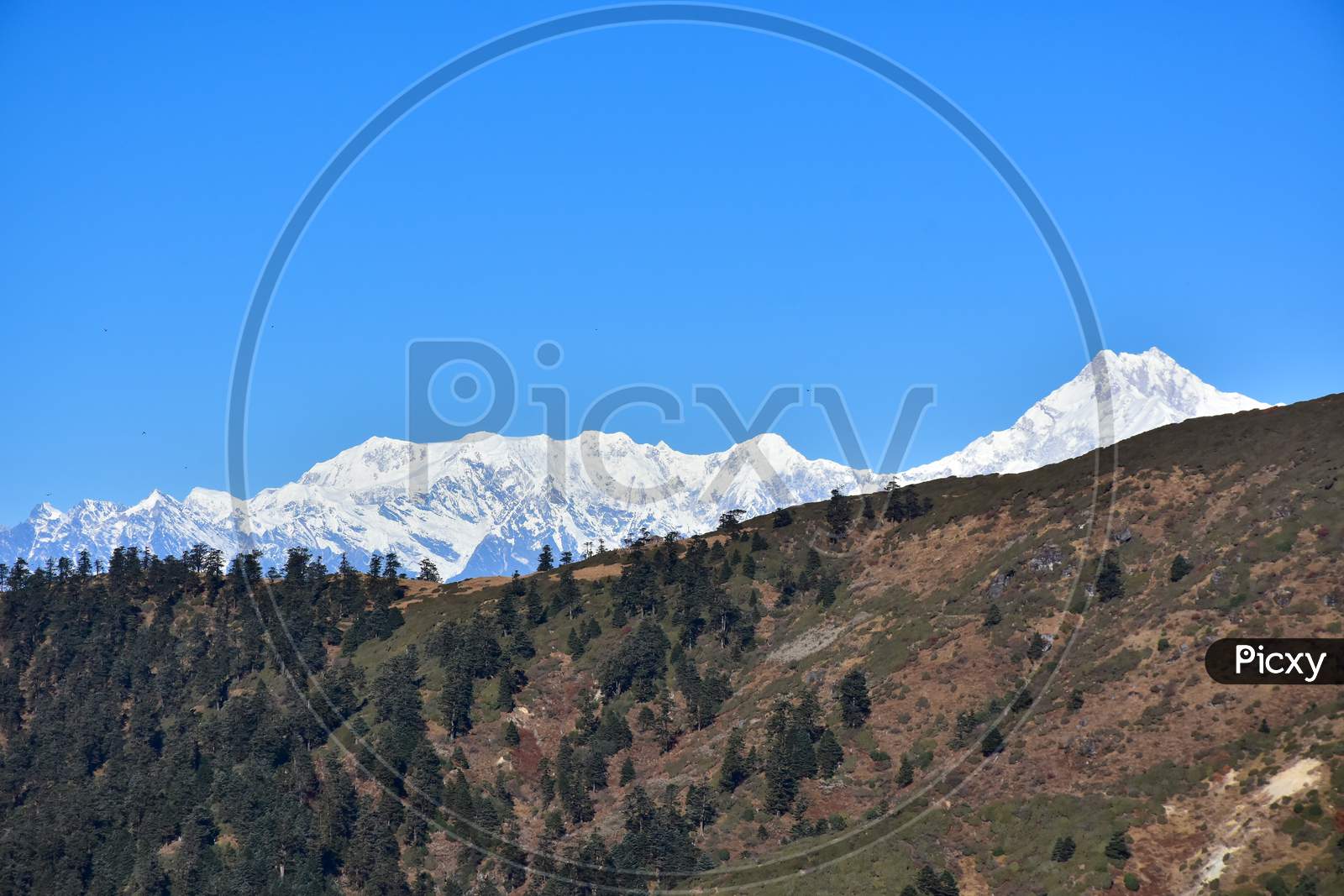 Majestic View Of Mount Kanchenjunga