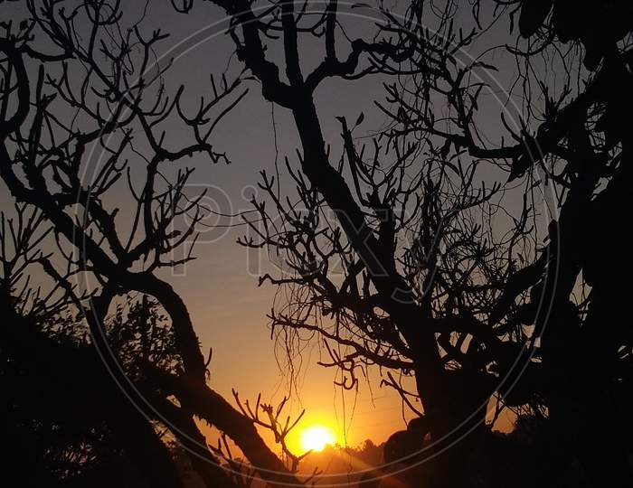 Sunrise, India, Gujarat