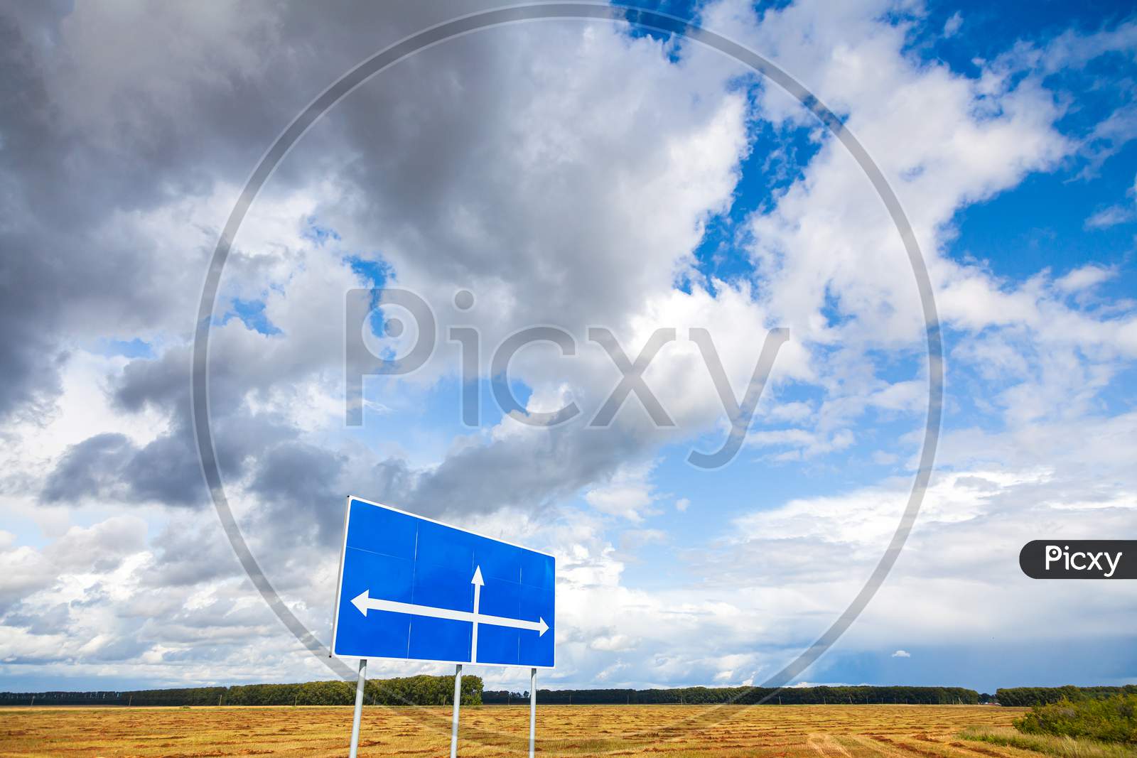 Summer Landscape: A Wheat Field With A Sign Indicating Directions And Without Text On The Background Of Trees And A Stunningly Blue Sky With Lots Of Clouds On A Bright Sunny Day. Space For Text On A Road Sign