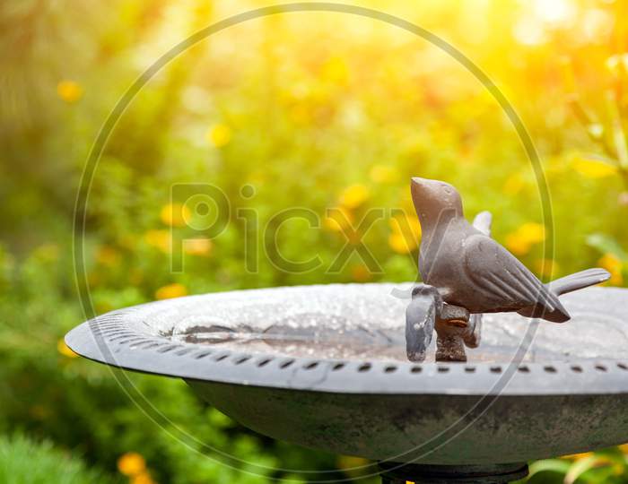 Decorative Decoration Of The Garden. Ceramic Pot With A Statue Of A Small Metal Bird Drinking Water. Green Grass In The Background