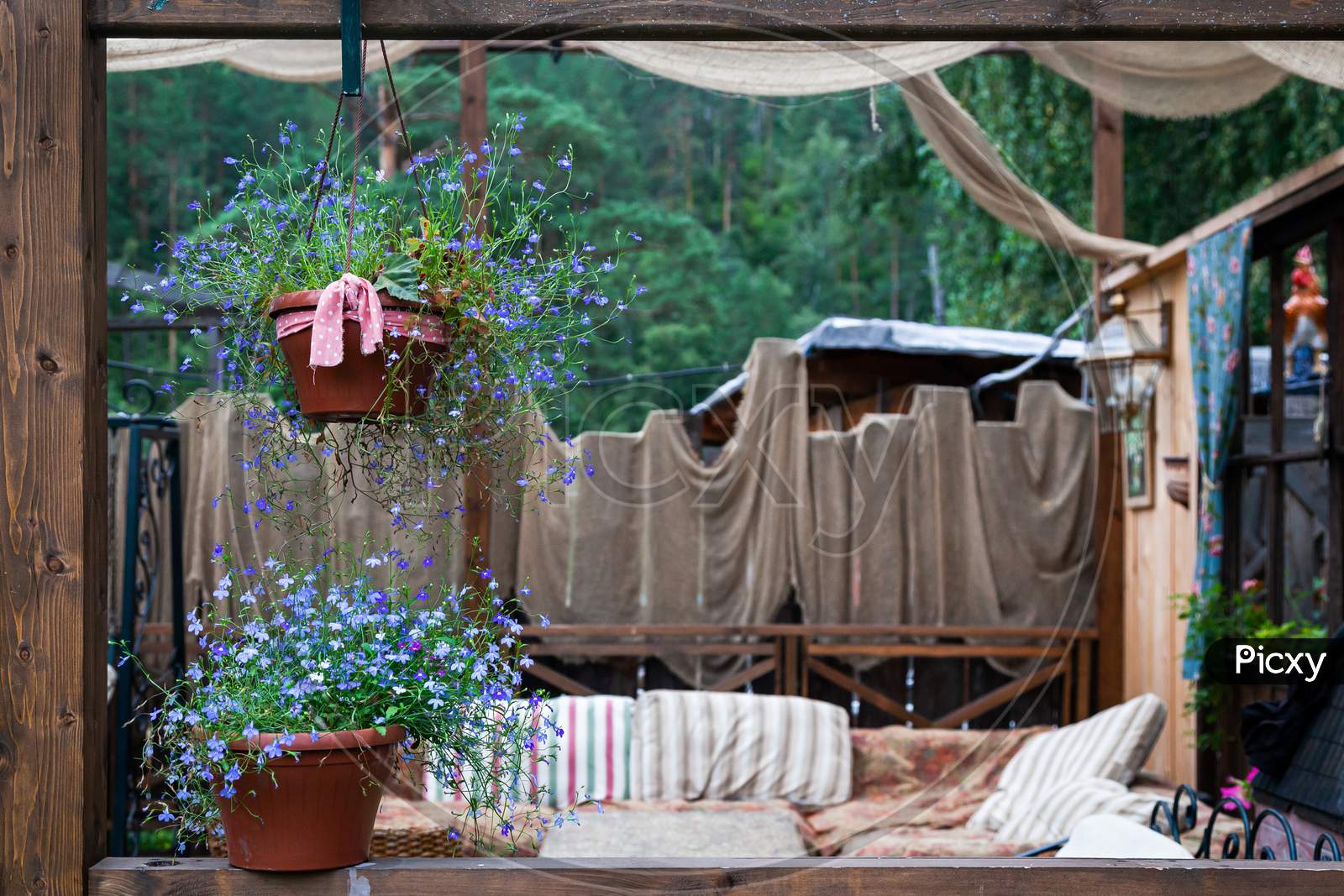 Beautiful Scenery Of The Rustic Veranda: Pots With Purple Flowers, A Lamp, Decoration With Various Fabrics And A Sofa