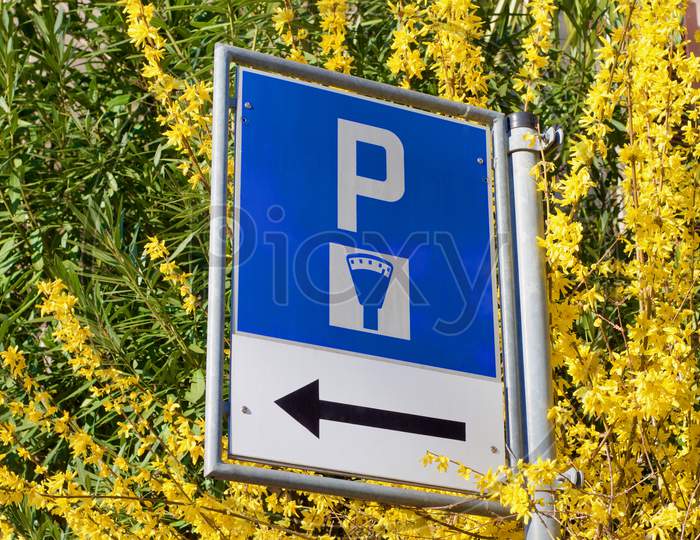 Swiss Street Parking Sign Surrounded By Forsythia Flowers