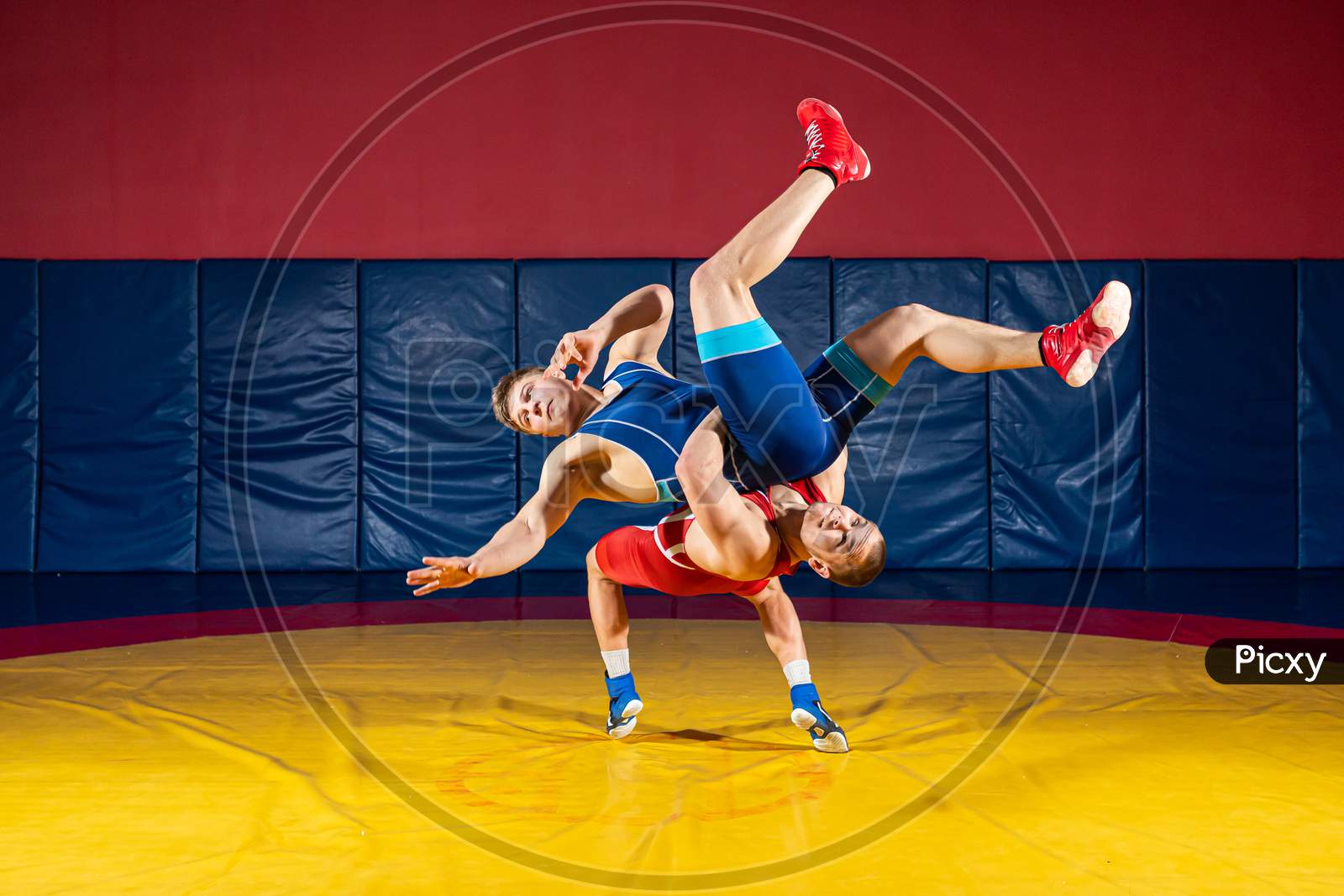 Two Greco-Roman  Wrestlers In Red And Blue Uniform Wrestling  On A Yellow Wrestling Carpet In The Gym