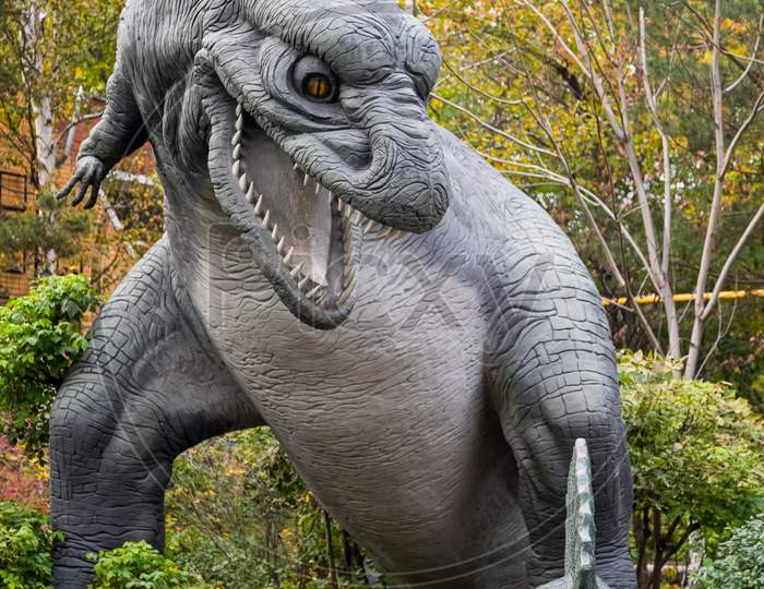 A Large Gray Adult Tyrannosaurus Attacks A Small Stegosaurus Cub Near Small Trees And Shrubs On A Warm Autumn Day. Dinosaur World