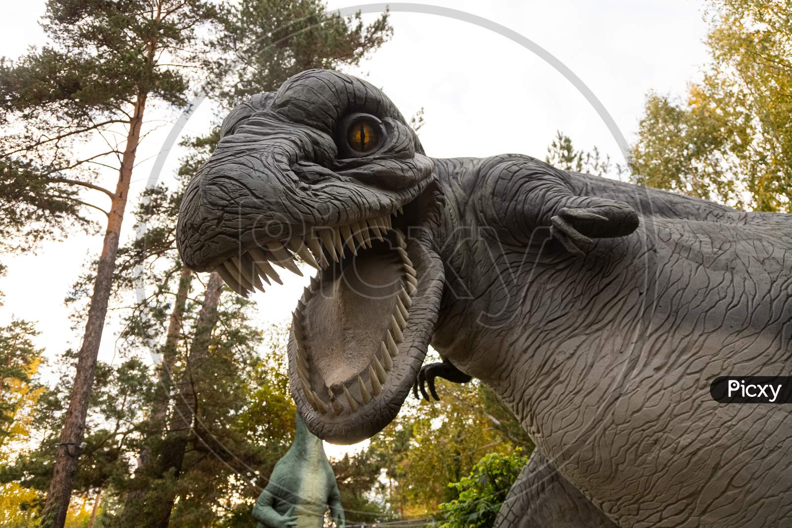 A Portrait Of A Large Gray Adult Tyrannosaurus, Which Predatoryly Dug Its Large Jaw With Fangs And Prepared For An Attack, A Bottom View Against The Sky And Trees. Dinosaur World