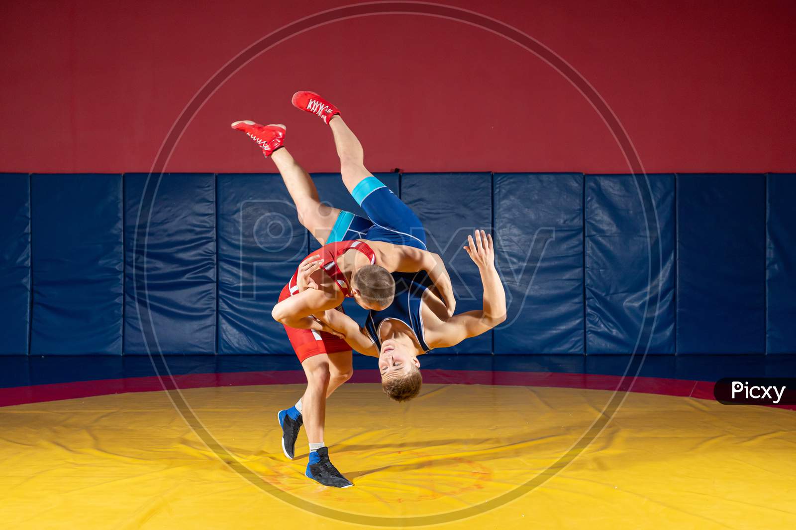 Two Greco-Roman  Wrestlers In Red And Blue Uniform Wrestling  On A Yellow Wrestling Carpet In The Gym