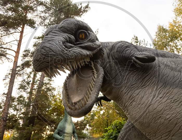 A Portrait Of A Large Gray Adult Tyrannosaurus, Which Predatoryly Dug Its Large Jaw With Fangs And Prepared For An Attack, A Bottom View Against The Sky And Trees. Dinosaur World