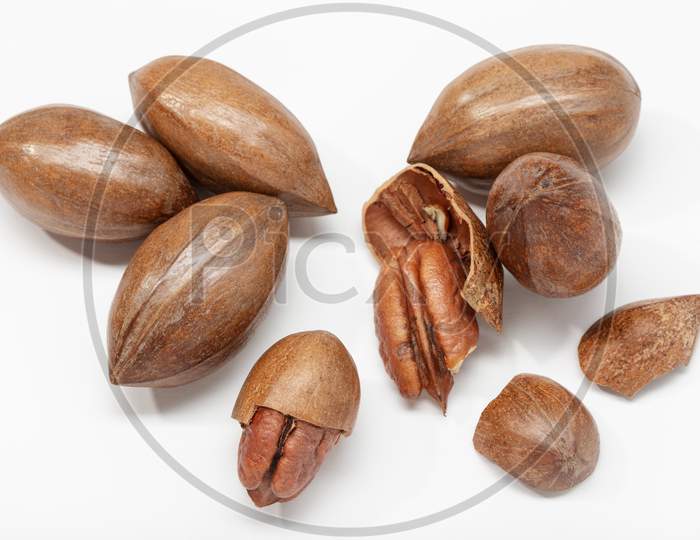 Pecan Nuts Isolated On White Background. Carya Illinoinensis