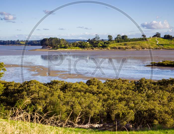 Tidal River Landscape In The North Island Of New Zealand