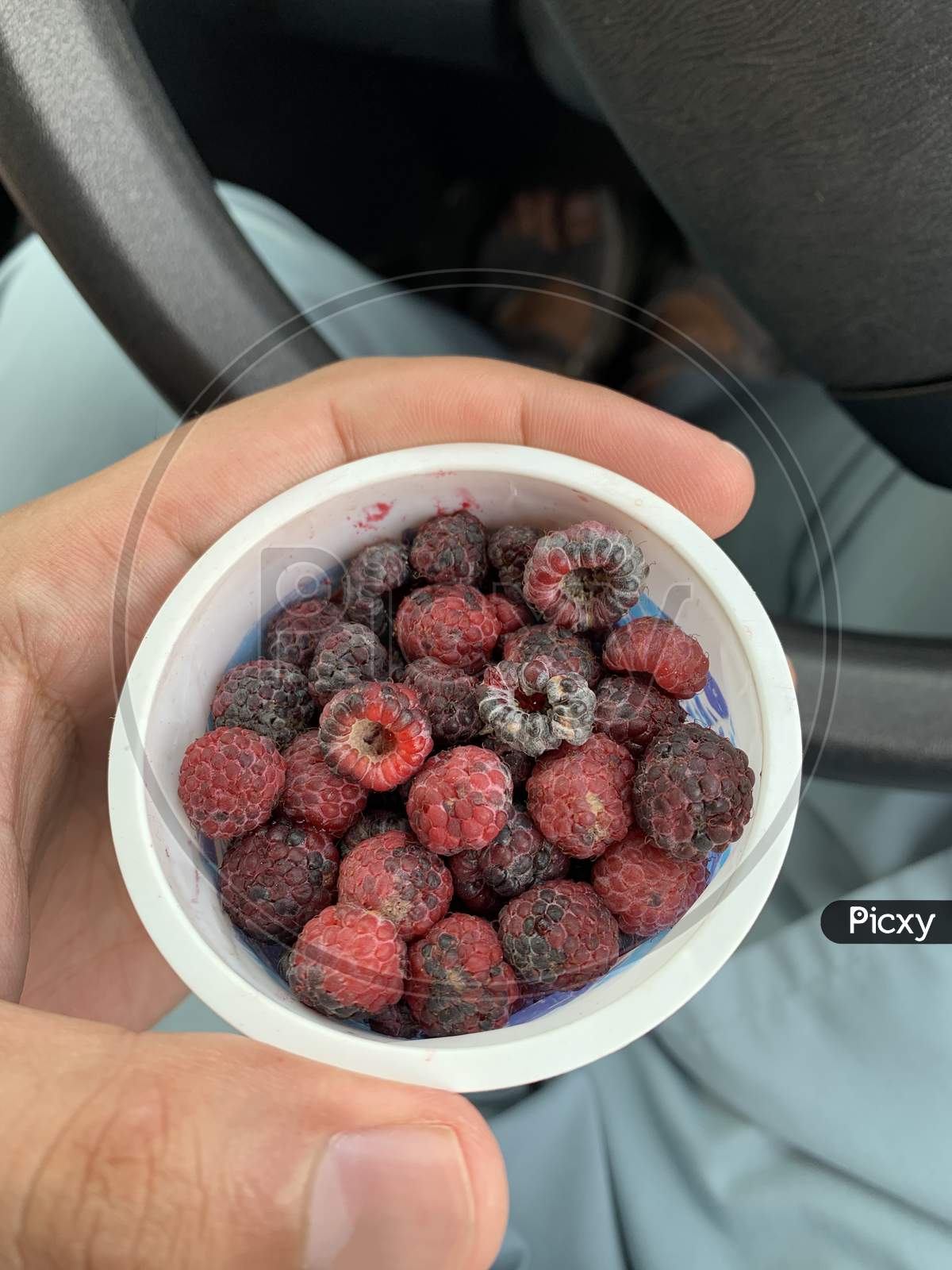 Red And Black Berries In The Plastic Cup Held In Hand
