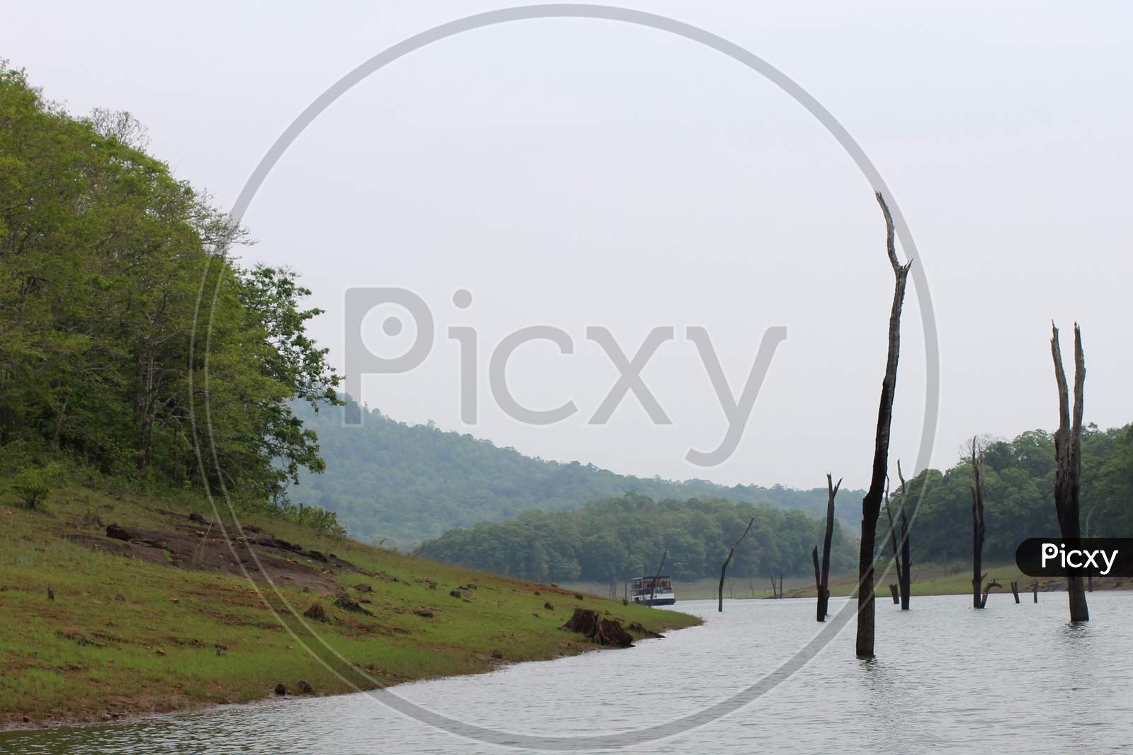 A scenic view of the lake, forest and mountains at Periyar National Park,Kerala, India